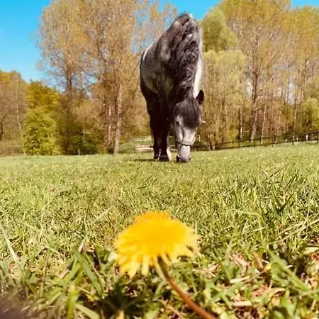 Chalet Faire Pause Avec Le Temps *