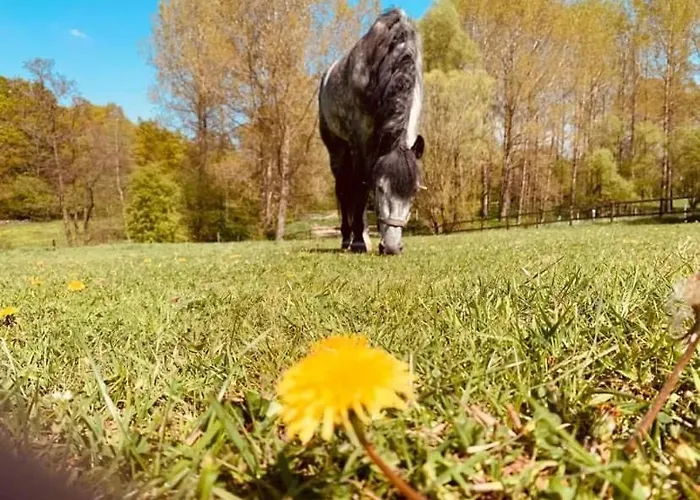 Chalet Faire Pause Avec Le Temps *