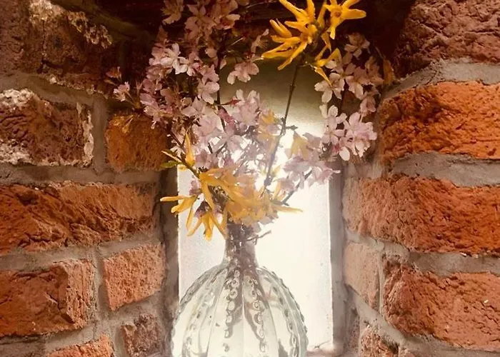 Chalet Faire Pause Avec Le Temps Thimister